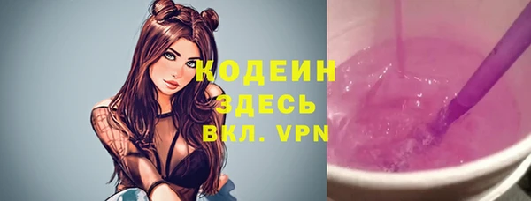 твердый Горняк