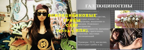 сатива Верхнеуральск