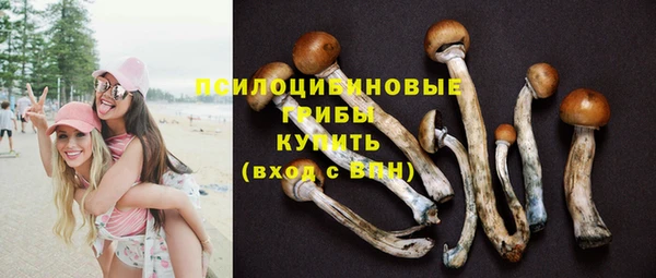 ешки Вязники