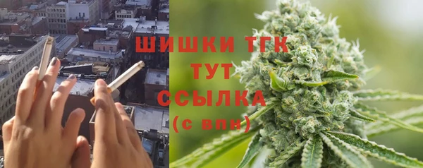 гидра Горно-Алтайск