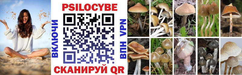 площадка клад  где купить   Емва  Галлюциногенные грибы GOLDEN TEACHER 